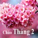 Stt chào tháng 2, những câu nói hay nhất về tháng 2 lãng mạn