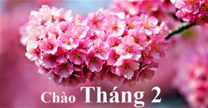 Stt chào tháng 2, những câu nói hay nhất về tháng 2 lãng mạn