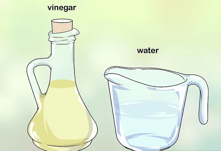 Tạo dung dịch gồm dấm và nước