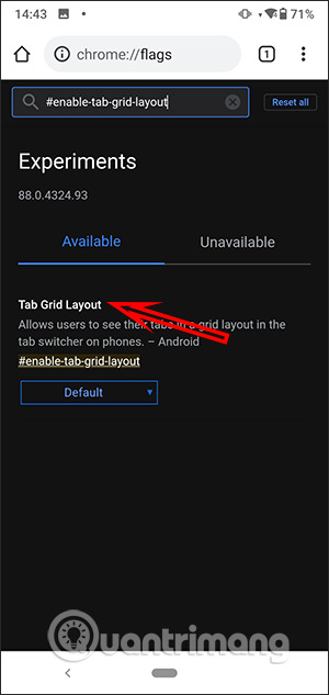 Truy cập #enable-tab-grid-layout