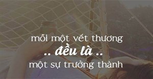 Cap về sự trưởng thành, stt về sự trưởng thành truyền động lực cho bạn