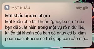 Dùng thử tính năng cảnh báo mật khẩu bị xâm phạm trên iOS 14