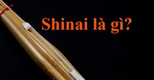 Shinai là gì?