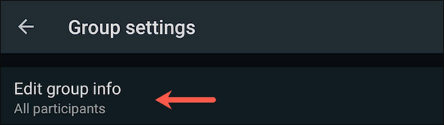 Bấm vào tùy chọn “Edit Group Info”