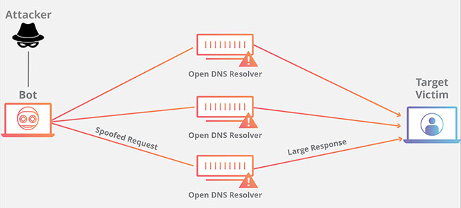 Tấn công DNS Amplification là gì?