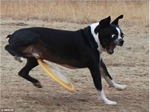 “Thốn tận rốn” với tình huống này.