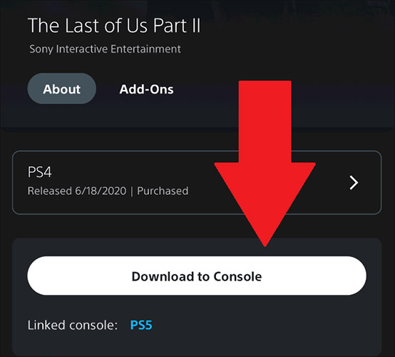 Bấm vào tùy chọn “Download to Console”