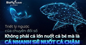 Triết lý ngược của chuyển đổi số: Không phải cá lớn nuốt cá bé mà là cá nhanh sẽ nuốt cá chậm