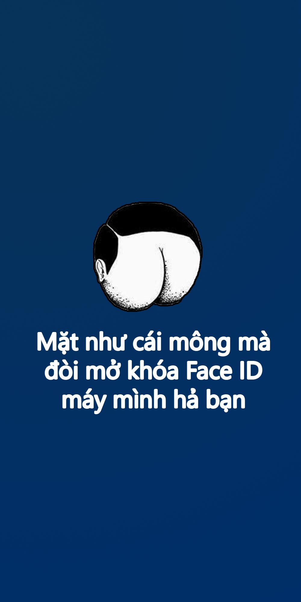 Hình Nền Điện Thoại Hài Hước Troll Bựa Bá Đạo Hạt Gạo