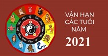 Xem vận hạn 12 con giáp năm 2022 theo Thập Bát Cục