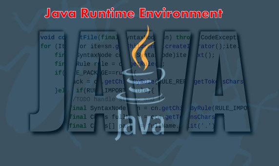 Java Runtime Environment 8-build-251