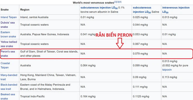 Rắn biển Peron được xếp thứ 5 trong danh sách những loài rắn độc nhất thế giới