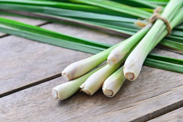 Use lemongrass to scent the bedroom