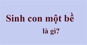 Sinh con một bề là gì? 2 con một bề là gì?