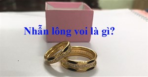 Nhẫn lông voi là gì?