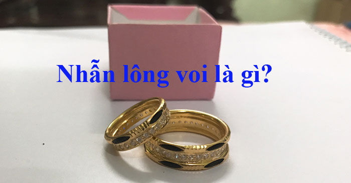 What is an elephant fur ring?