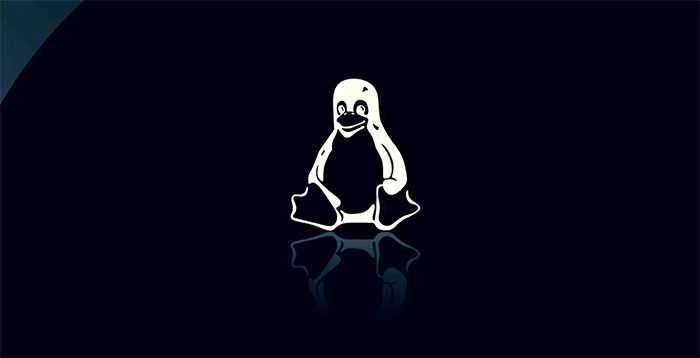 The Linux vulnerability series is more than ’15 years old’, allowing hackers to hijack root privileges