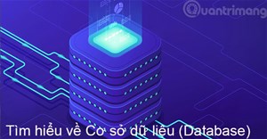 Cơ sở dữ liệu là gì? Database là gì?