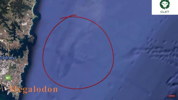 Cá mập khổng lồ thời Tiền sử