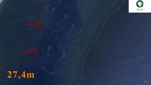 Những con cua khổng lồ