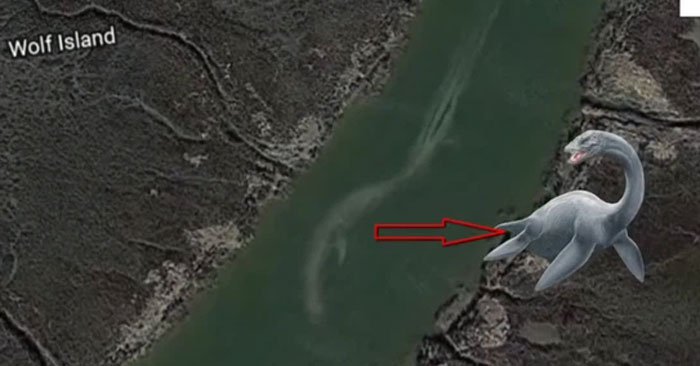 The giant sea monsters accidentally recorded by Google Earth