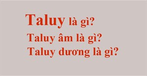 Taluy là gì? Taluy âm là gì? Taluy dương là gì?