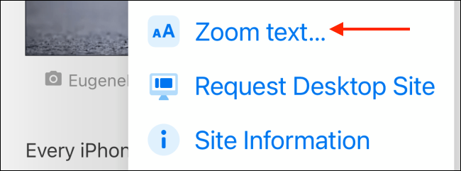 Bấm vào tùy chọn "Zoom Text"