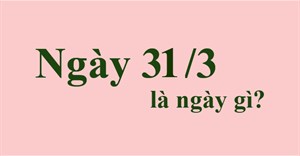 31/3 là ngày gì?