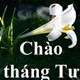 Chào tháng 4, Stt tháng 4 hay nhức nhối