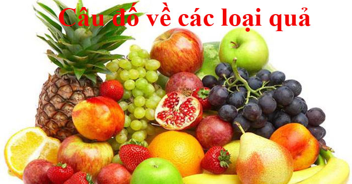 Câu đố về quả 