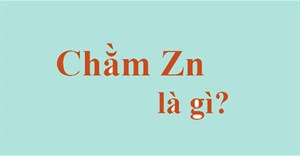 Chằm Zn là gì?