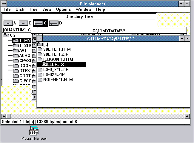File Manager chạy trong Windows 3.0 (1990)