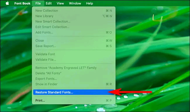 Chọn “Restore Standard Fonts”