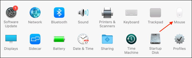 Bấm vào phần "Mouse"