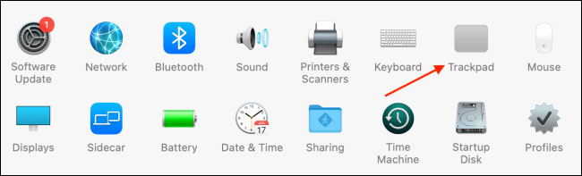 Chọn tùy chọn “Trackpad”