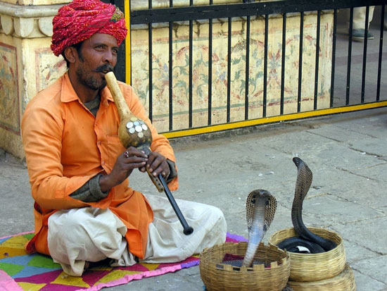 Control a cobra with a flute 