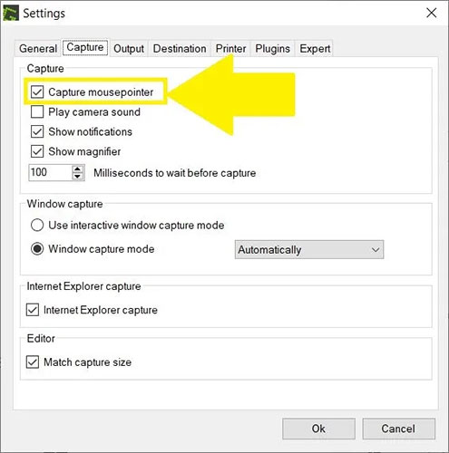 Chọn tùy chọn “Capture mousepointer”