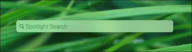 Thanh Spotlight Search