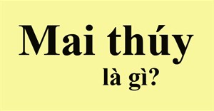 Sà cân là gì? Mai Thúy là gì?