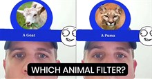 Cách tải filter bạn là con vật nào trên Instagram