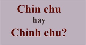 Chỉn chu hay chỉnh chu, từ nào là đúng chính tả?