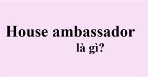 House ambassador là gì?