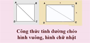Công thức tính đường chéo hình vuông, đường chéo hình chữ nhật