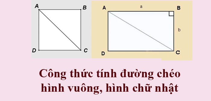 Đường chéo cánh hình chữ nhật rất có thể hiểu như thể lối nào là vô tam giác vuông?
