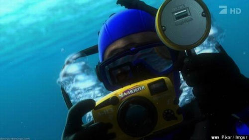 A113 trong "Finding Nemo" - Cuộc phiêu lưu của Nemo, Walt Disney và Pixar đồng sản xuất.