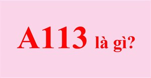 A113 là gì? Tại sao A113 xuất hiện trong nhiều bộ phim?