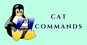 Lệnh Cat trong Linux