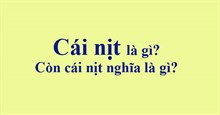 Cái nịt là gì? Còn cái nịt nghĩa là gì?