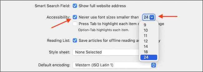 Tích vào tùy chọn “Never Use Font Sizes Smaller Than”