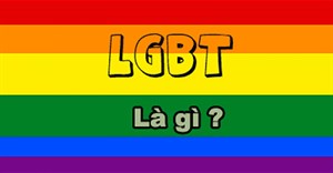 LGBT là gì? LGBTQ+ là gì? Cộng đồng LGBT gồm những ai?